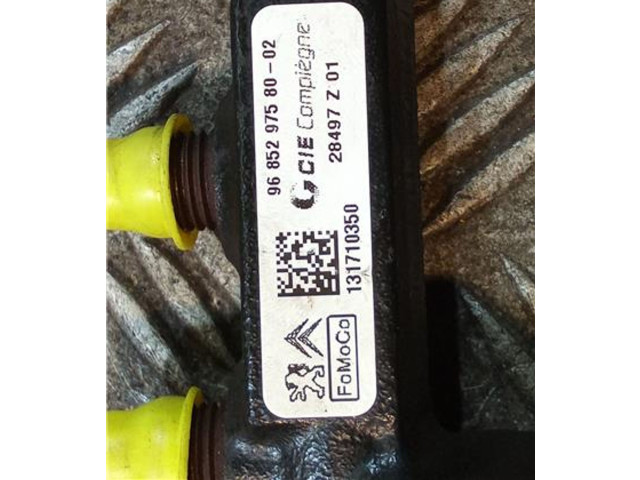 Vstřikovací lišta 9685297580, 131710350   Citroen Berlingo    9H06 