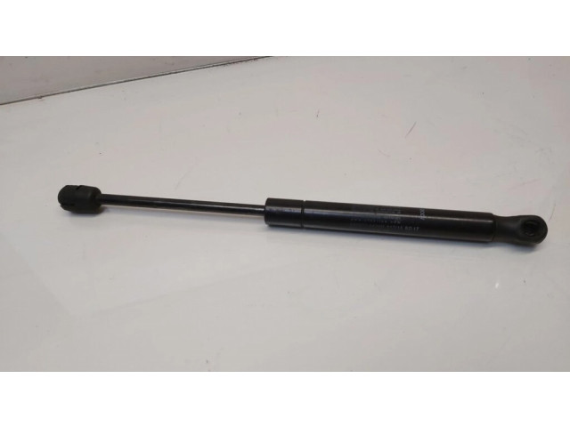 Amortizatorius su spyruokle