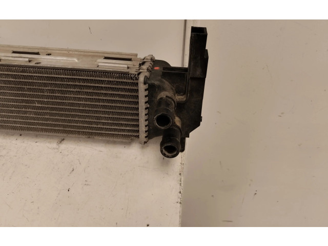 Интеркулер Skoda Fabia Mk2 (5J)