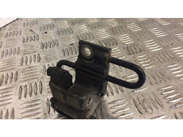 Передняя нижняя петля