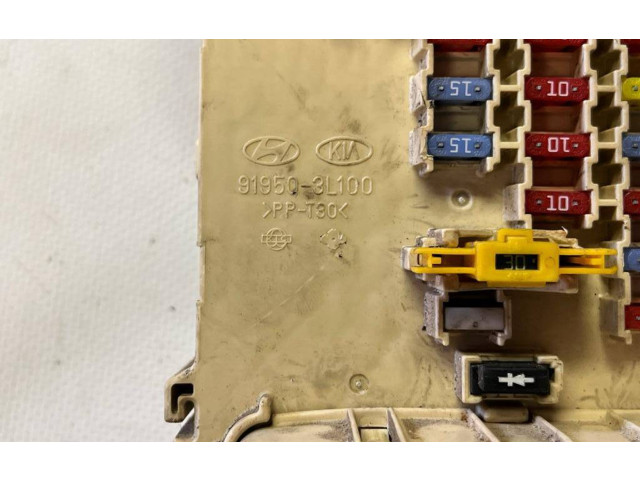   Pojistková skříňka 919503L100   Hyundai Grandeur 2000