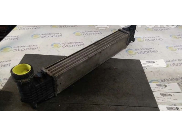 Интеркулер     Ford Galaxy 