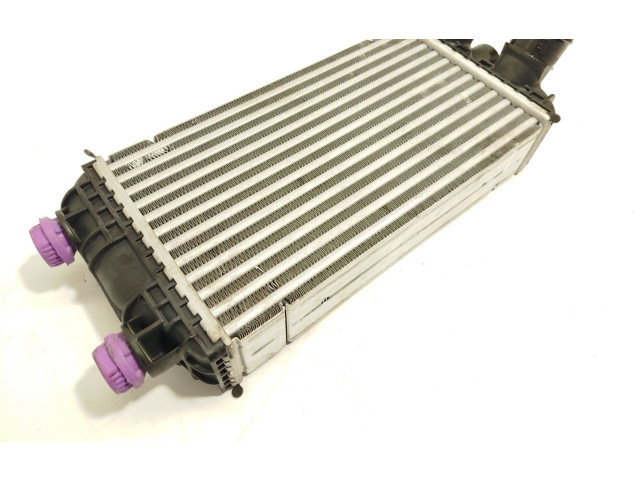 Интеркулер 9824742280, JD1271006520 Peugeot 208