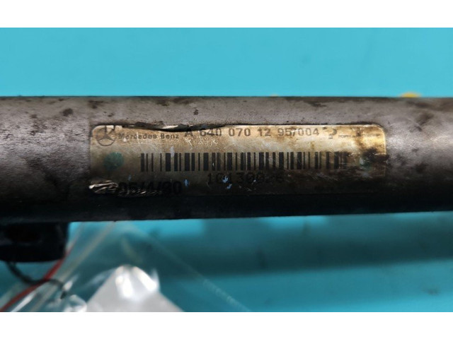 Топливная рампа A6400701295, IMPRK1388154 Mercedes-Benz A W169