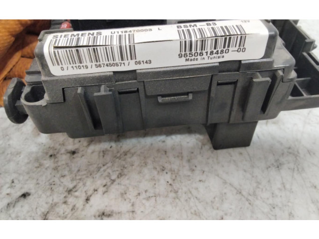 Pojistková skříňka 9650618480-00 Citroen Berlingo 2002