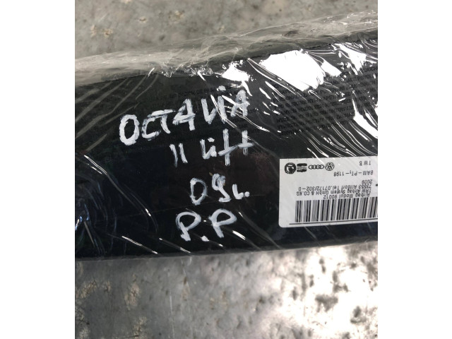 Подушка безопасности в сиденье 1K4880242D Skoda Octavia Mk2 (1Z)