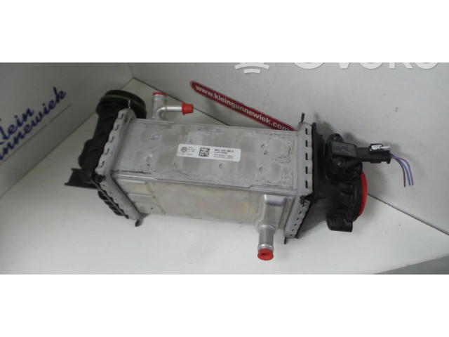 Радиатор интеркулера 05C145785C, 04E906051J Audi Q2 - DLAA DLA