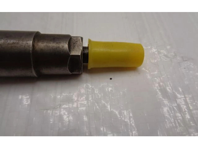 Комплект жиклеров (форсунок) 0445110566   Peugeot 308    