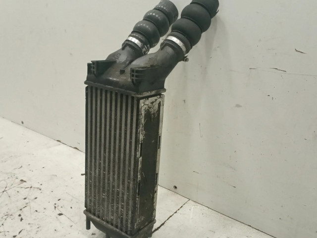 Интеркулер     Citroen Berlingo 