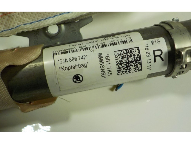 Подушка безопасности двери 5JA880742, 5JA880742   Skoda Rapid (NH)