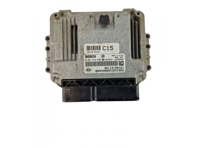 Řídící jednotka 0281016430, 391132A121 KIA Soul 2009