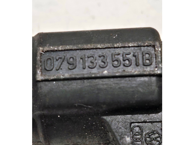 Vstřikovač 079133551B, 0280156180 Audi A8 S8 D3 4E