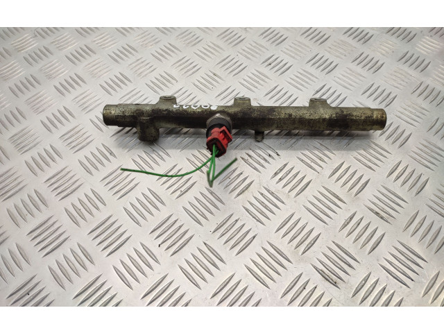 Топливная рампа 0445214019, 0281002283 Peugeot Partner для двигателя rhy