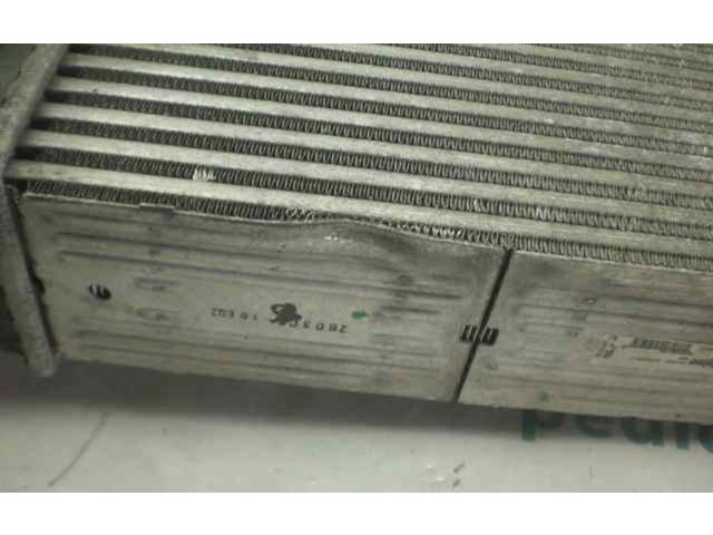 Интеркулер Citroen Xsara Picasso 1.6