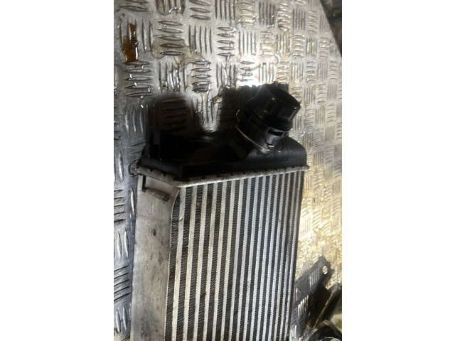 Интеркулер Dacia Duster