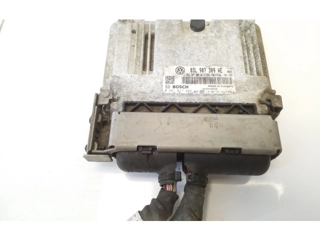 Блок управления двигателя 03L907309AE, 0281017946   Volkswagen PASSAT B7