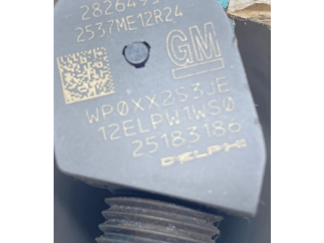 Форсунка 25183186, 28264951    Chevrolet Captiva   