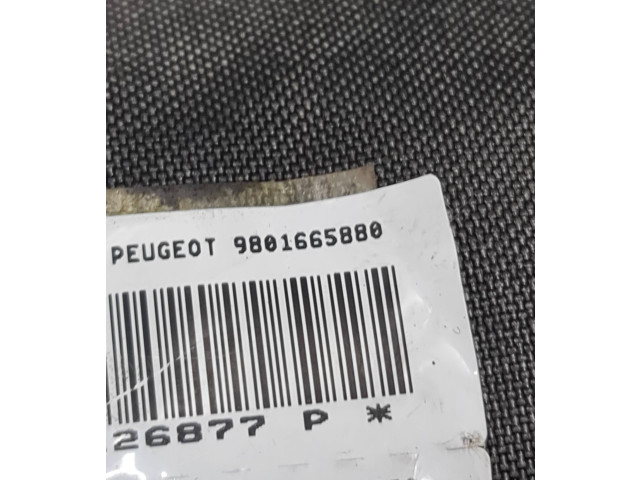 Боковая подушка безопасности 9801665880   Peugeot 5008