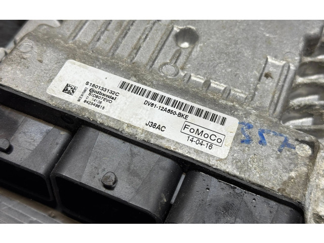Блок управления двигателя DV6112A650BKE, S180133132C   Ford Transit -  Tourneo Connect