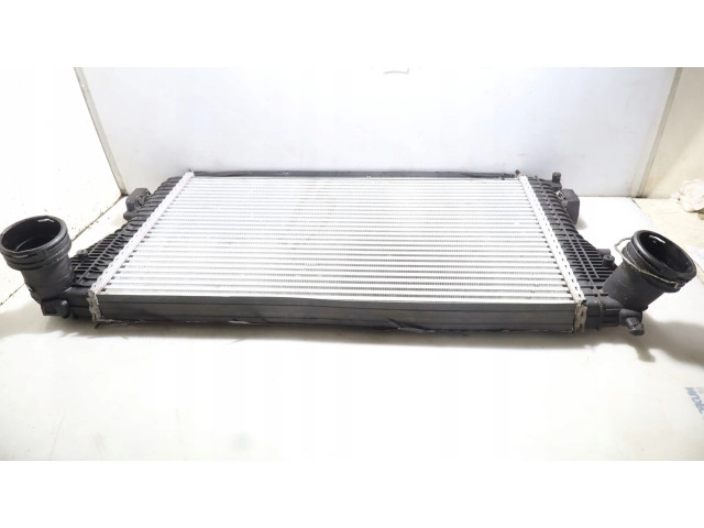 Интеркулер Skoda Octavia Mk2 (1Z)