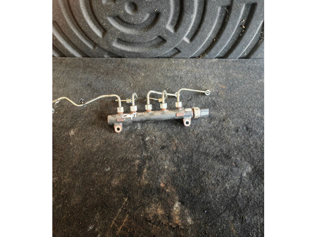 Vstřikovací lišta 96868901   Chevrolet Captiva     