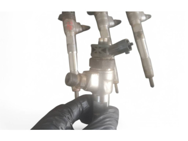 Комплект форсунок 175204021R, 175204021R Dacia Duster II