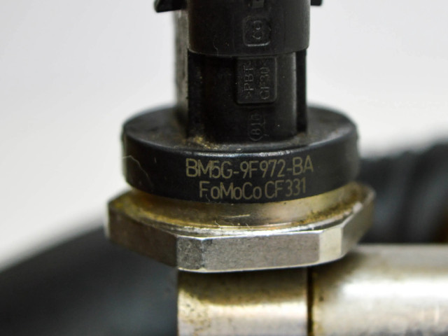 Топливная рампа CM5G9H487HD, BM5G9F972BA Ford Ecosport 1.0