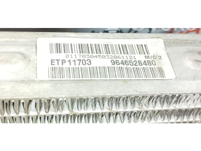 Топливная рампа 9646528480   Citroen C4 I Picasso  