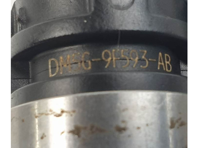 Форсунка DM5G9F593AB Ford Tourneo SFCD
