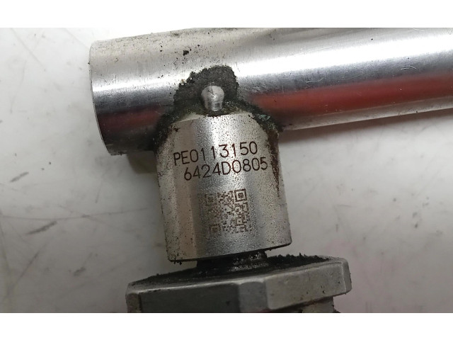 Топливная рампа PE0113150, PE0113150 Mazda 3 III