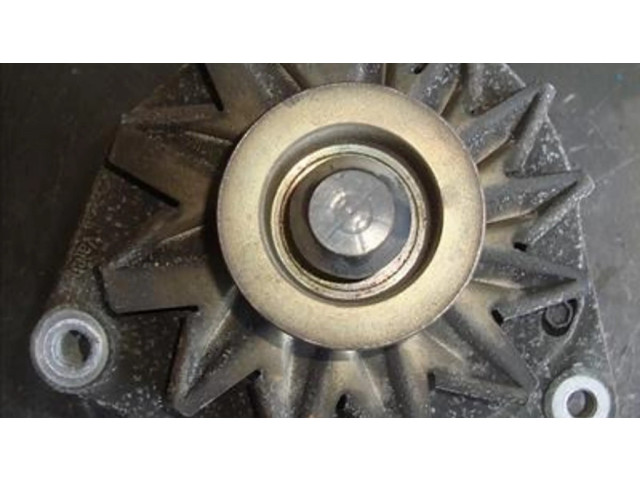 Генератор 2541248, A13N201 Renault Clio I