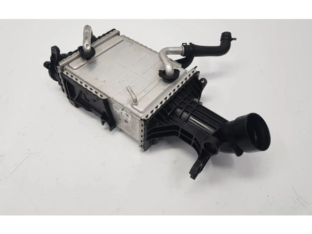 Интеркулер     Mercedes-Benz G W463 