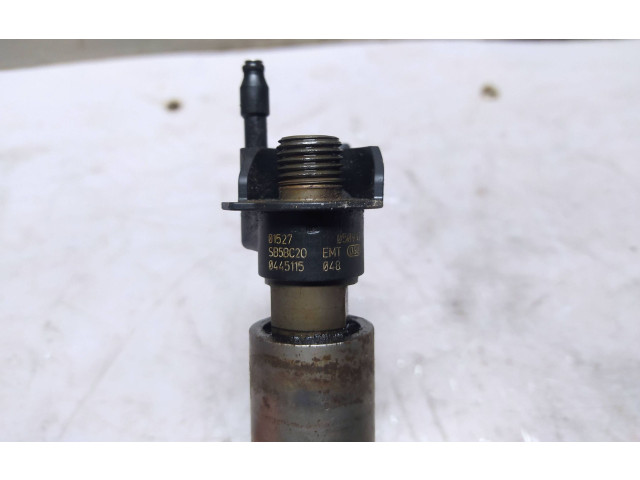 Жиклер (жиклеры) (форсунка (форсунки) 0445115048, 0445115048   BMW X5 E70