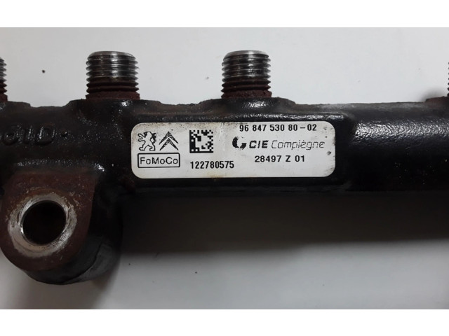 Vstřikovací lišta 9684753080 Peugeot 3008 I 9HD (DV6CTED)