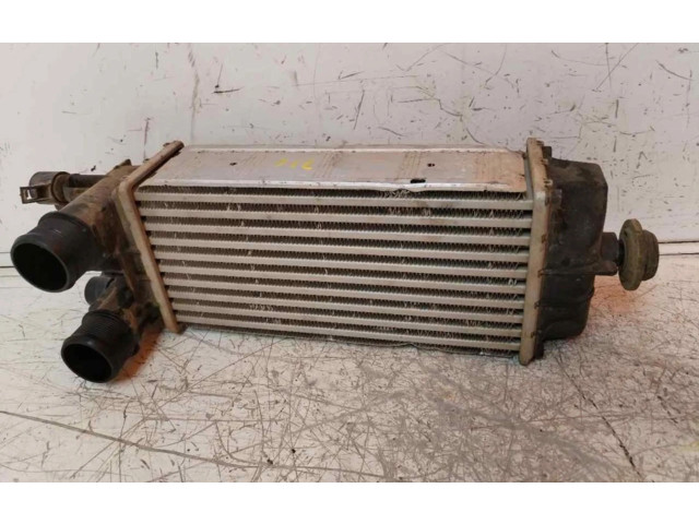 Интеркулер GN116K775AB Ford Ecosport