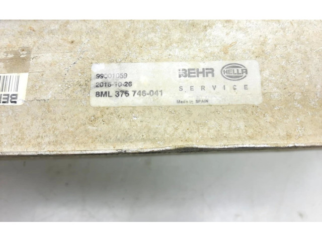 Интеркулер F6926006 Nissan Pathfinder R51