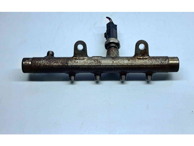 Vstřikovací lišta 8200704212   Nissan Juke I F15     