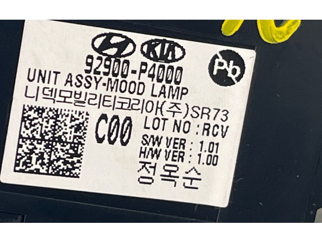 Блок управления 92900P4000, 92900P4000   KIA Sorento