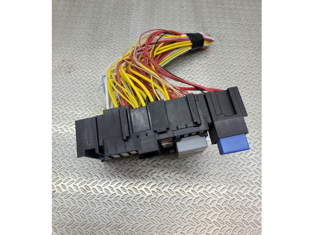 Sicherungskasten    Dacia Duster    