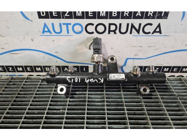 Топливная рампа 9681909680, 28497Z01   Ford Kuga I   для двигателя G6DG, UKDA