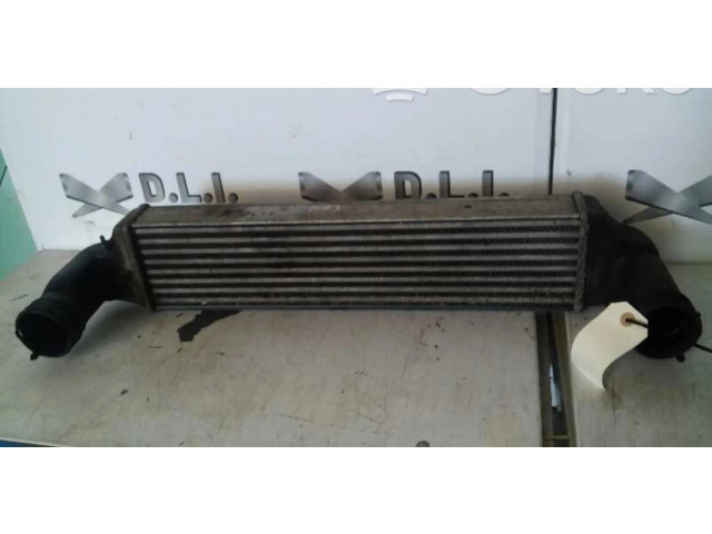 Интеркулер     BMW X3 E83 