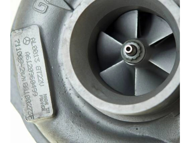 Turbodmychadlo Турбина 711009, 6120960999   Mercedes-Benz G W461 463   