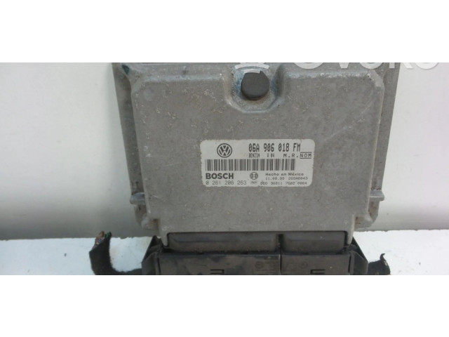 Блок управления двигателя 06A906018FM   Volkswagen New Beetle