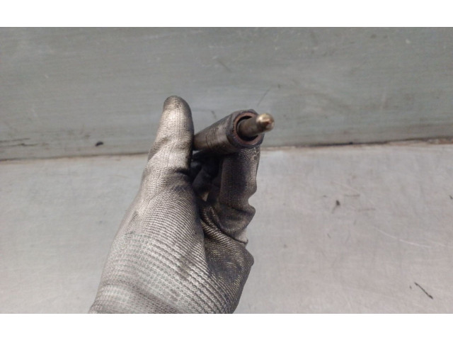 Форсунка A6650170121, A6650170121    SsangYong Rexton  D27DT 