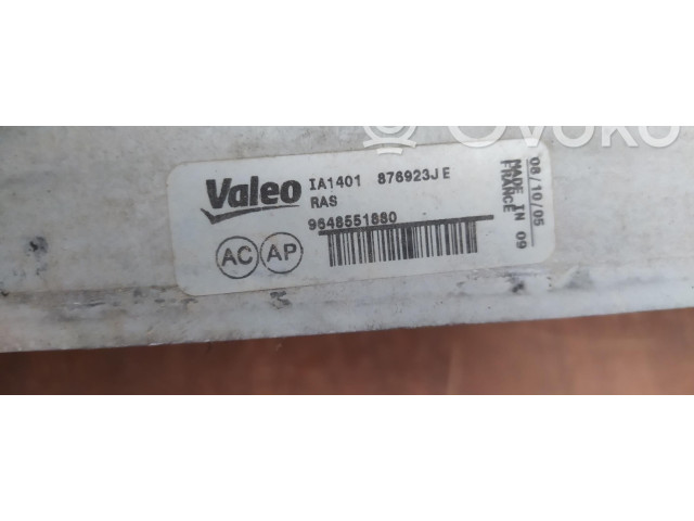Интеркулер 876923JE Citroen C4 I