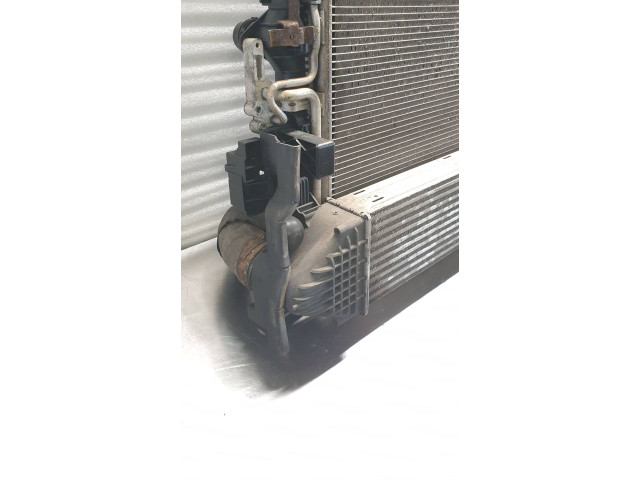 Комплект радиатора 880655G, 6G919L440DC Volvo S80