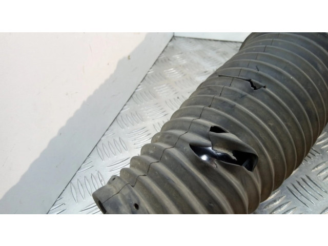 Задняя пневматическая (воздушная) подушка с амортизатором