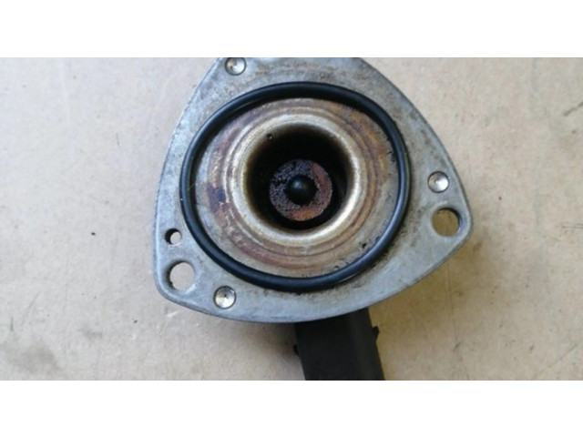 Варочный клапан Vanos