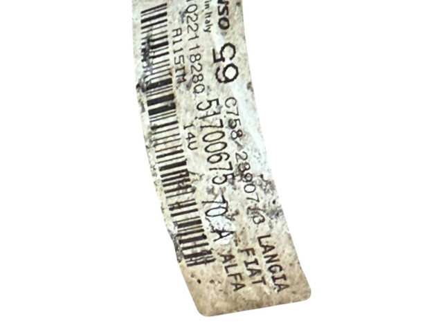 Píst 51700675, S1022118280 Fiat Punto (199)