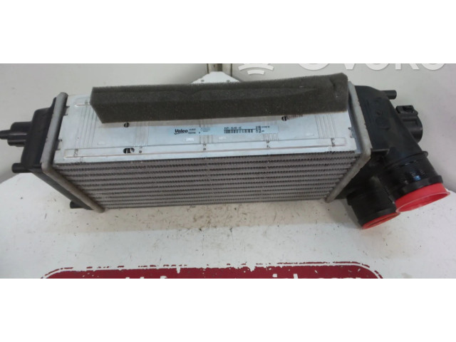 Интеркулер AV219L440AC Ford Fiesta